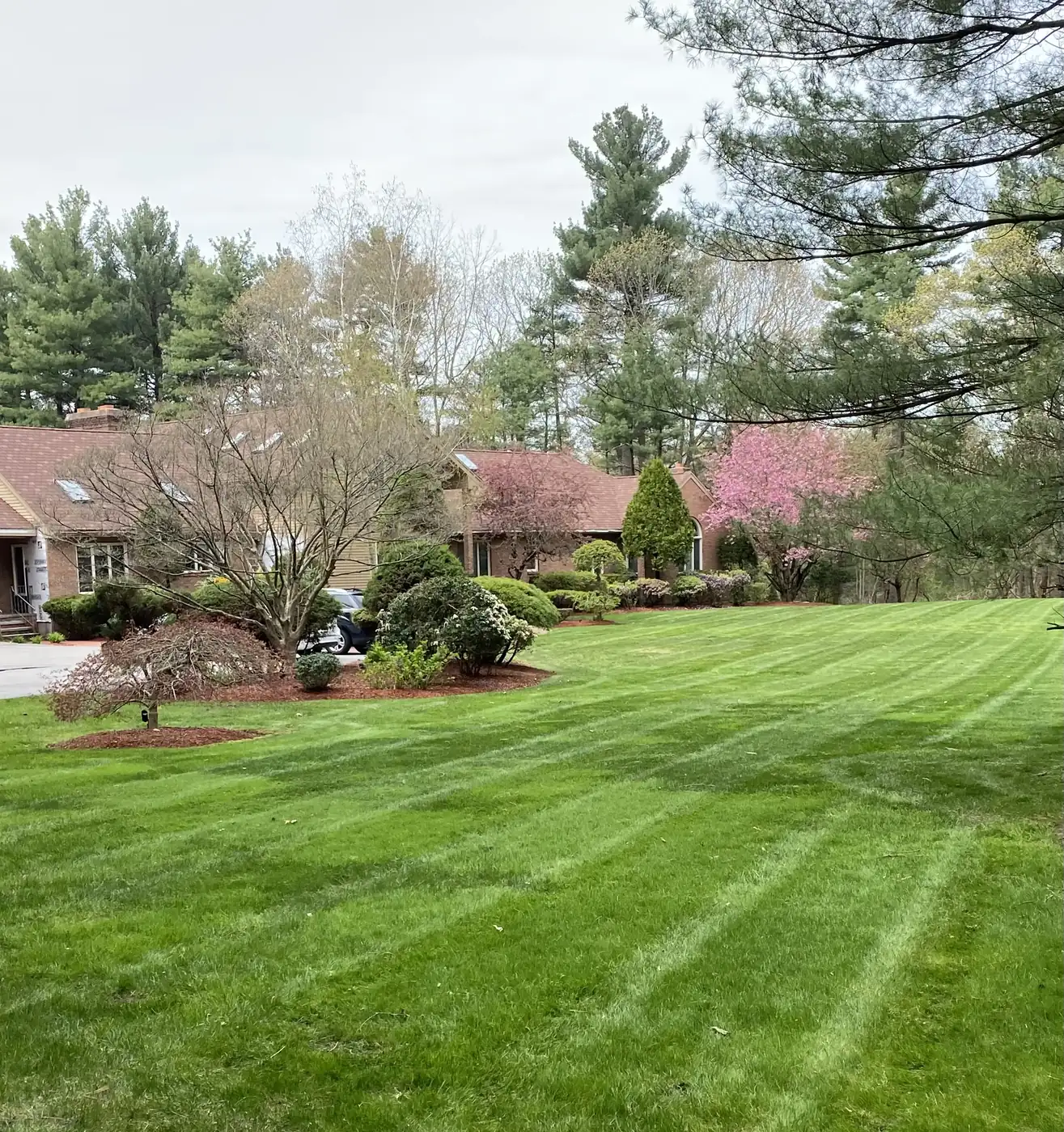 Manicured lawn and beds in front of a home in spring