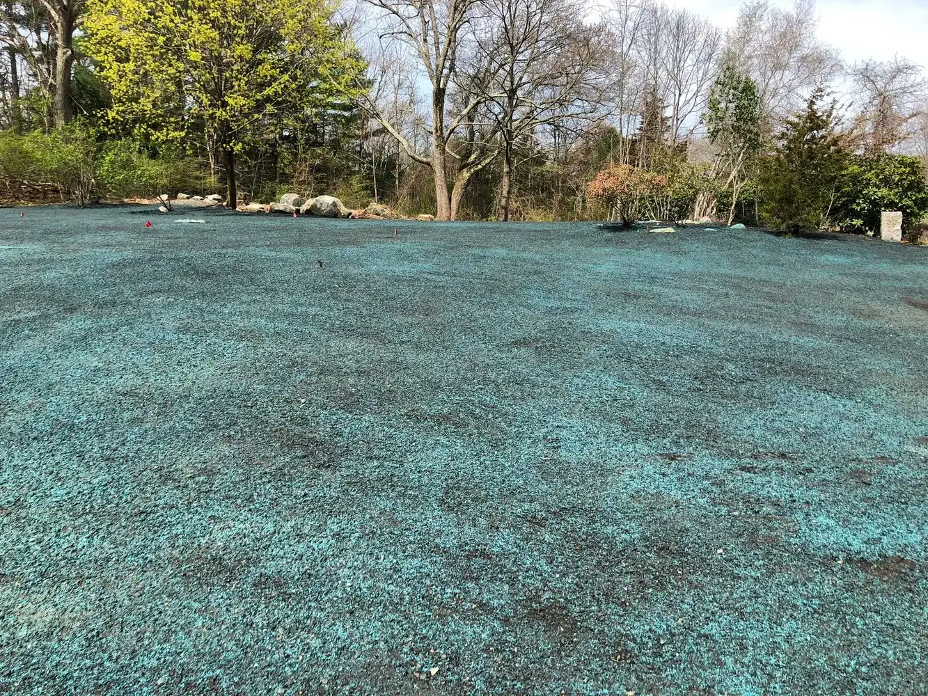 Commercial Landscape & Maintenance